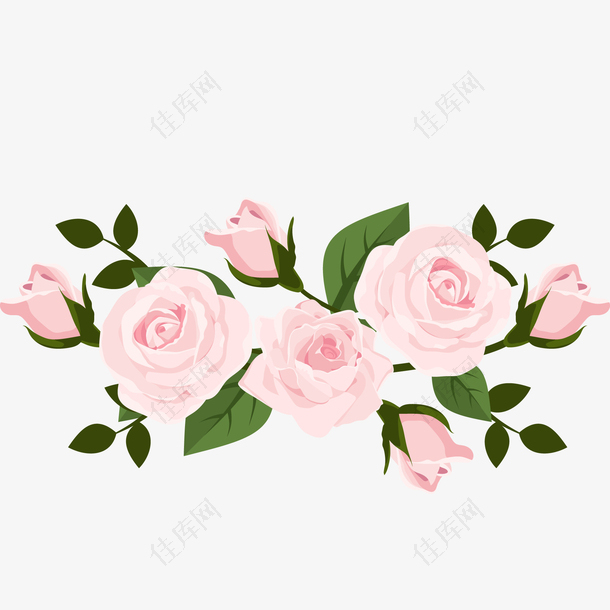 粉色玫瑰花设计矢量图