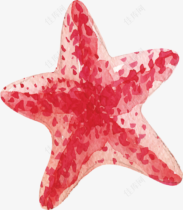 粉红色手绘海星