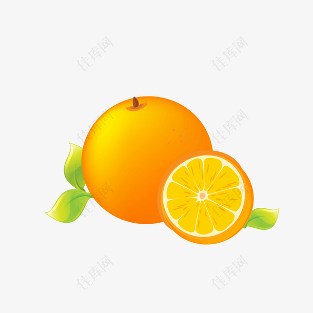 橙子绿叶PNG矢量