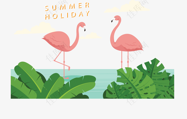 夏日假期海边火烈鸟