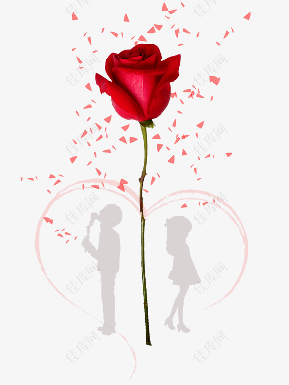 314白色情人节情侣与玫瑰花