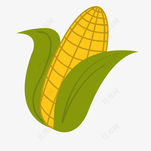 黄色扁平食物玉米