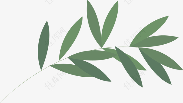 矢量图绿色竹子枝条