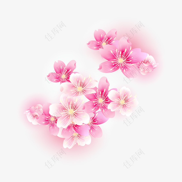 粉色花朵装饰配景