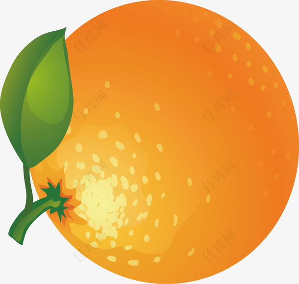 橘子手绘水果矢量