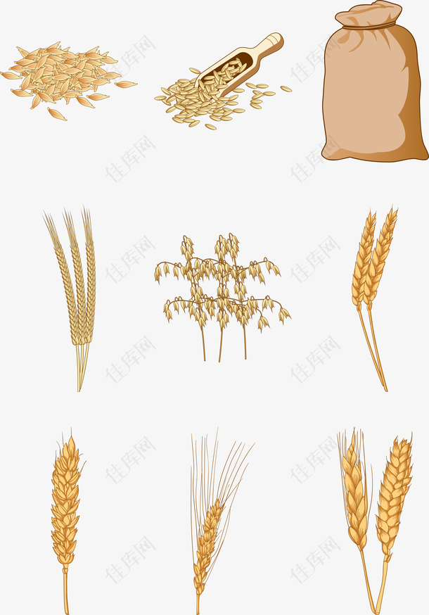手绘小麦粮食矢量素材
