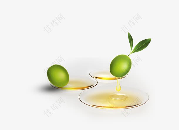 橄榄果橄榄油装饰素材