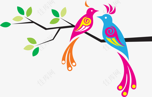 树枝上一对小鸟插图矢量图