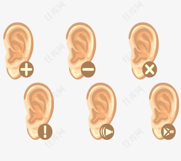 矢量人耳朵听力部位