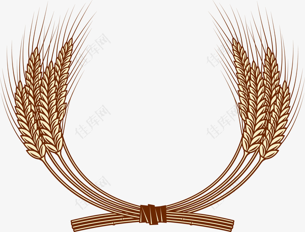 谷物手绘麦穗矢量图