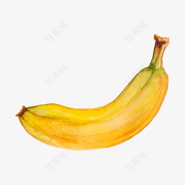 手绘水彩香蕉免抠素材