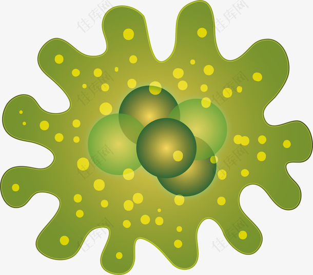 矢量图绿色淋巴细胞