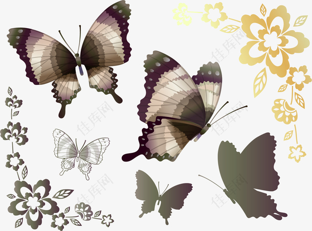 花丛的蝴蝶