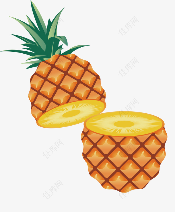 手绘切开的水果菠萝矢量图形