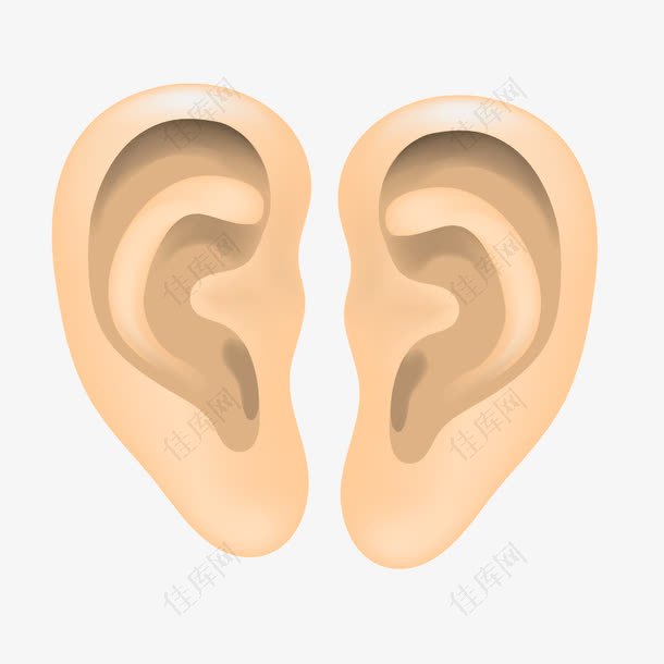 黄色人体器官耳朵