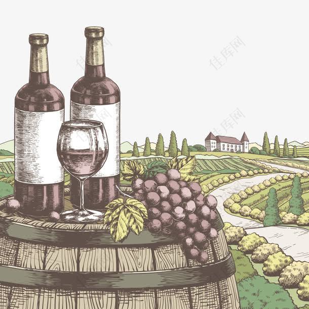 矢量葡萄酒和葡萄庄园