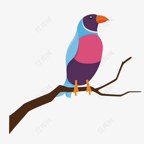 创意设计彩色树枝小鸟
