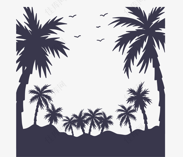 夏天美丽海岛椰子树
