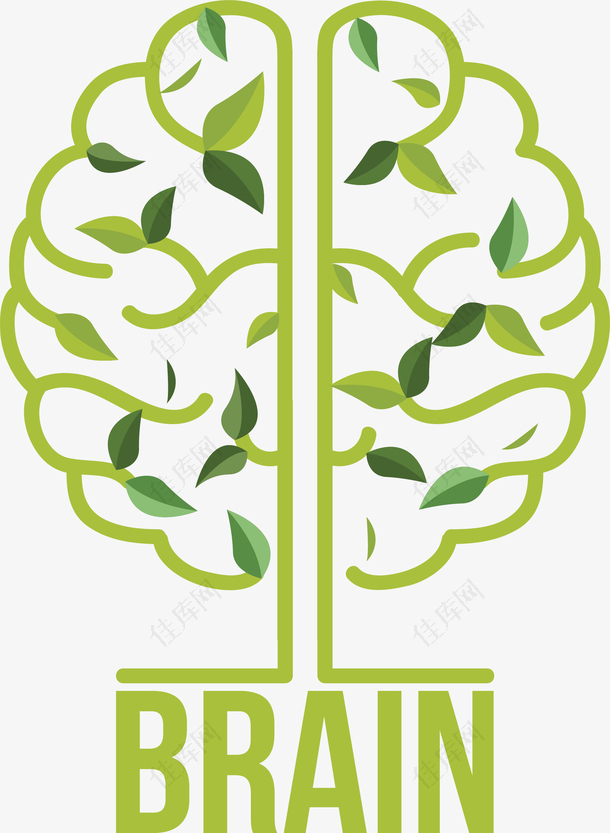绿色线条树叶人类大脑
