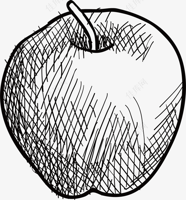 矢量素描苹果