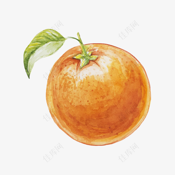 手绘水彩橙子免抠素材