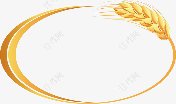 矢量图水彩黄色小麦
