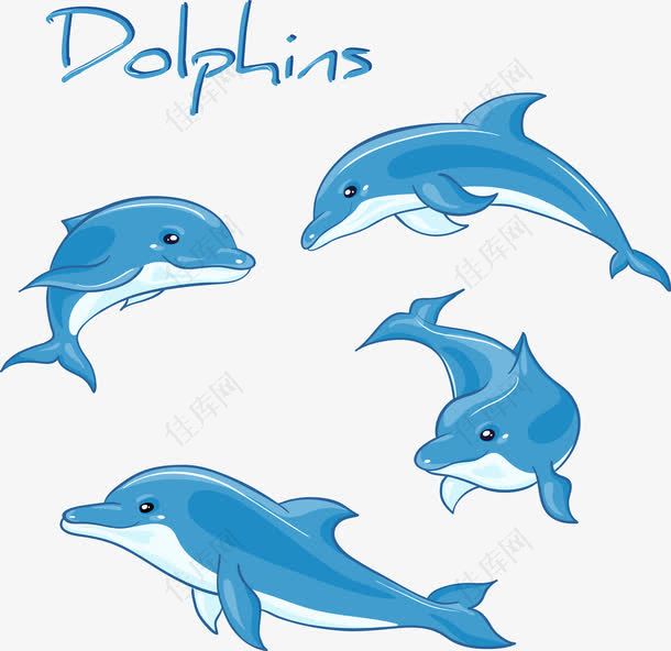 装饰海豚各种姿势