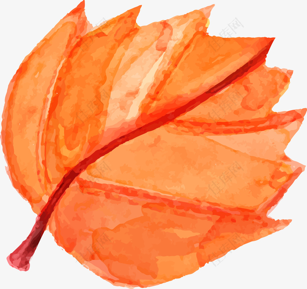 水彩手绘秋季装饰树叶