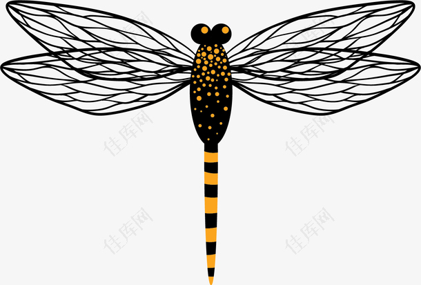 蜻蜓矢量卡通昆虫标本