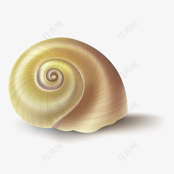 矢量蜗牛