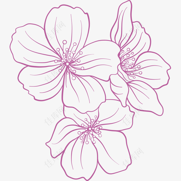 矢量手绘紫色花朵插画