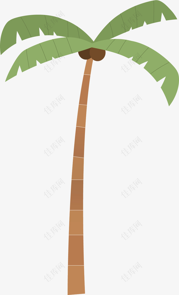 矢量图卡通椰子树