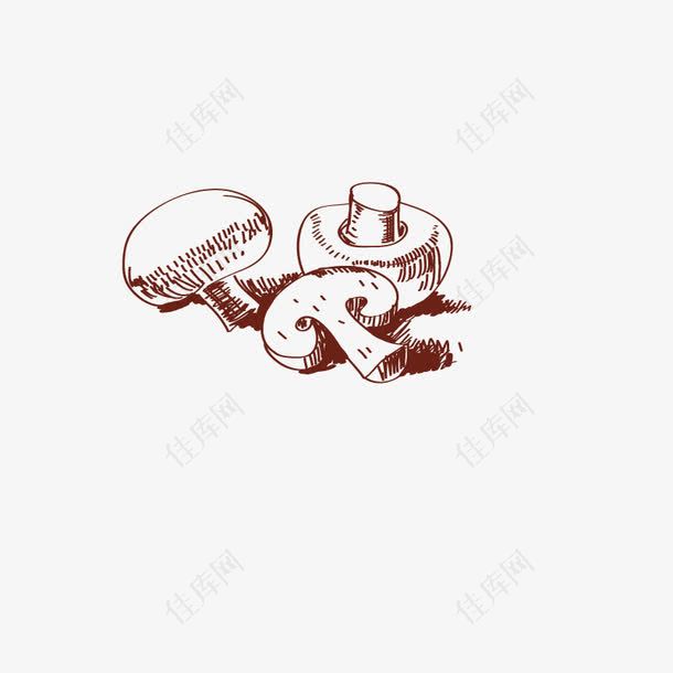 手绘蘑菇香菇