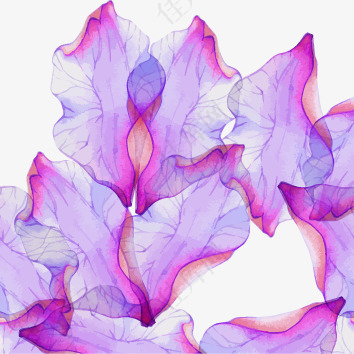 漂浮紫色水彩花卉