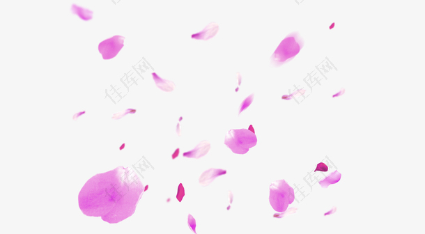 梦幻紫红色的花瓣免抠素材