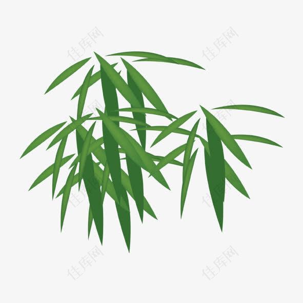 鲜绿竹叶