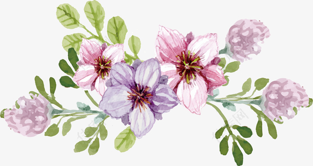 春季花朵装饰插画