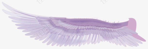紫色翅膀矢量图