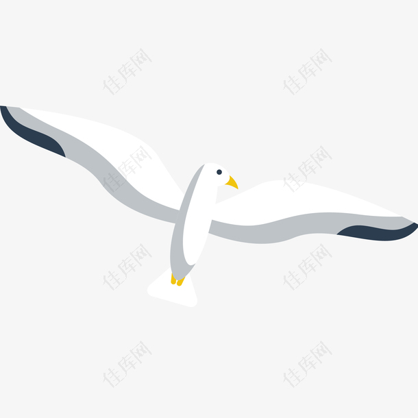 白色海鸥矢量插画