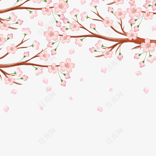 春天桃花开满枝桠手绘