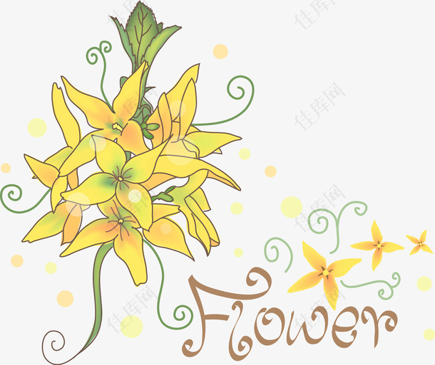 黄色花朵印花图案