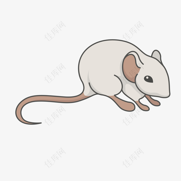 简笔手绘绘画老鼠