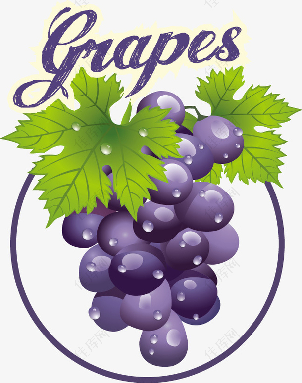 水果标签矢量素材葡萄