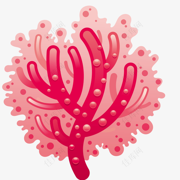 红色的海洋里的珊瑚