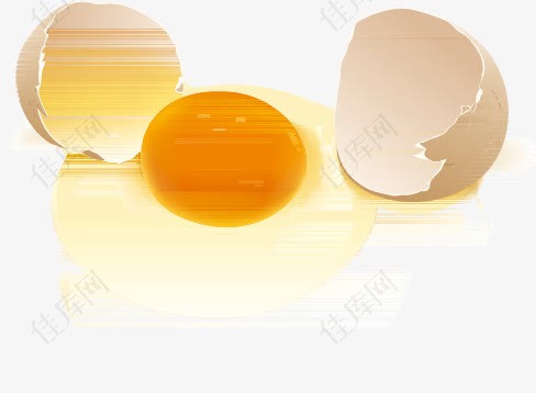 卡通精美鸡蛋蛋黄鸡蛋壳