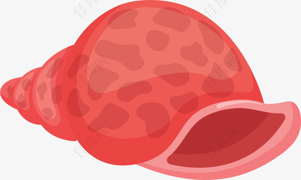 粉红夏天海螺贝壳