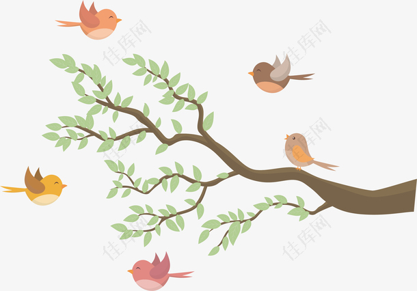 春天树枝上的彩色小鸟