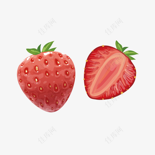 矢量写实草莓
