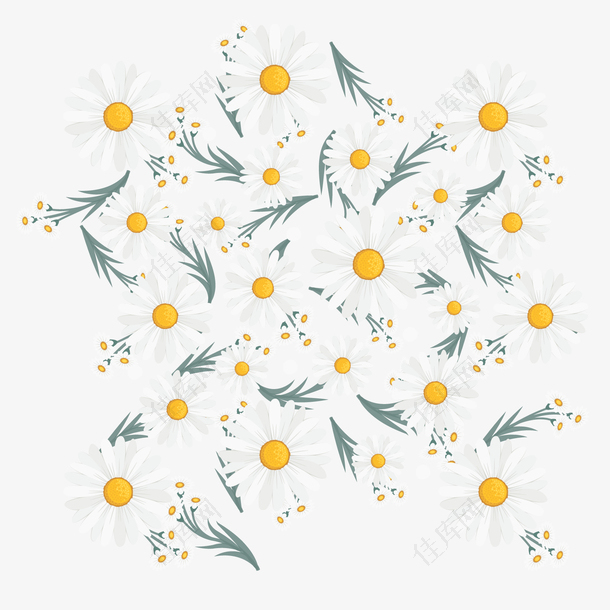 花朵装饰底纹菊花元素