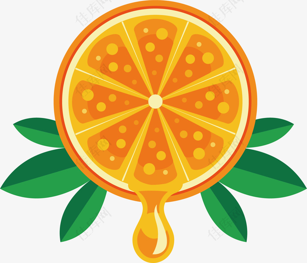 矢量图美味的橙子